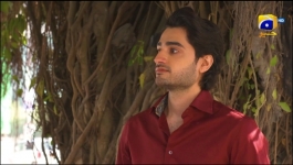 Mehroom - Episode 45 - 26th May 2024